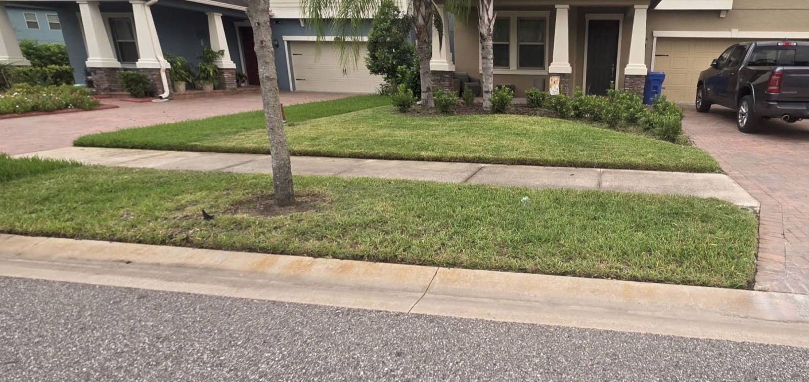 Yard after the work