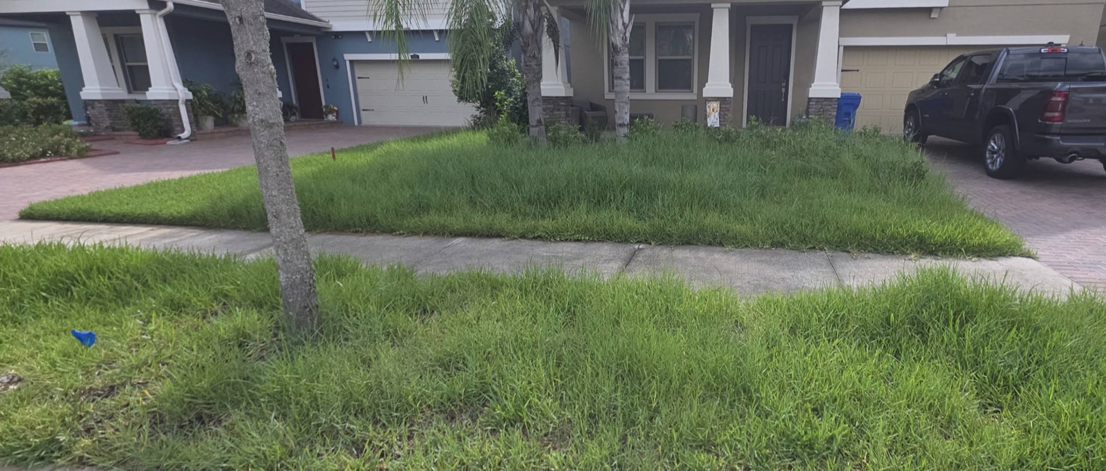 Yard before the work