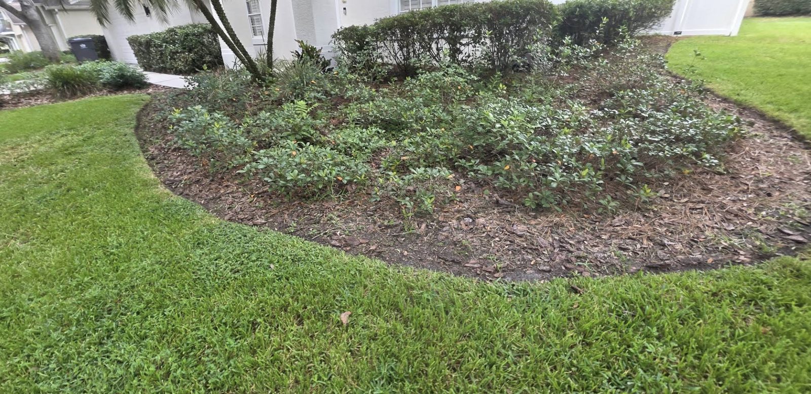 A garden bed edged beside a lawn