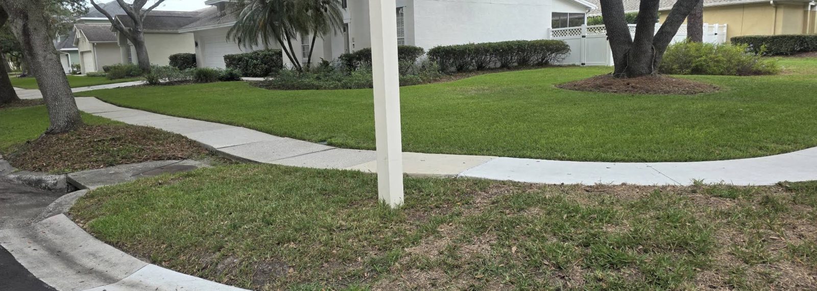 A mowed lawn along a walkway